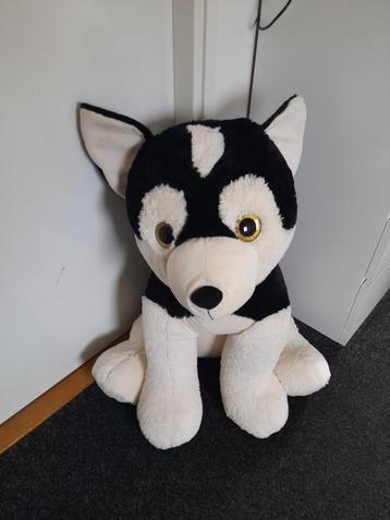 knuffel hond beschikbaar voor biedingen