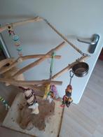 Java boom, Dieren en Toebehoren, Meerdere dieren, Postduif
