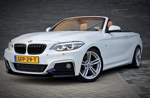 BMW 2-Serie 230i m uitvoering 252pk Aut 2019 Wit, Auto's, BMW, Bedrijf, 2-Serie, ABS, Adaptieve lichten, Adaptive Cruise Control