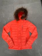 Zomerjas Cars maat S, Ophalen of Verzenden, Gedragen, Maat 36 (S), Roze