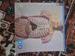 Anatomie en fysiologie, Ophalen, Beta, Gelezen, MBO