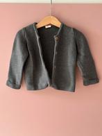 Hema vestje maat 92, Meisje, Trui of Vest, Ophalen of Verzenden, Zo goed als nieuw