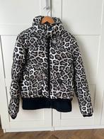 Goldbergh Ski jas Lua Leopard mt 40, Kleding | Dames, Maat 38/40 (M), Ophalen of Verzenden, Zo goed als nieuw, Jack