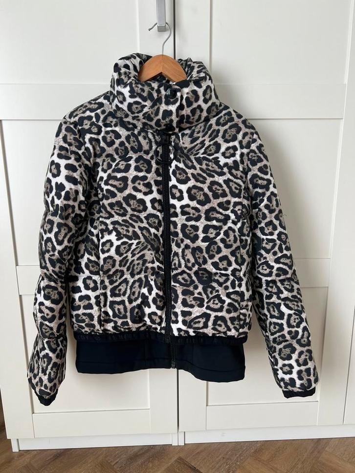 Goldbergh Ski jas Lua Leopard mt 40, Kleding | Dames, Wintersportkleding, Zo goed als nieuw, Jack, Maat 38/40 (M), Ophalen of Verzenden