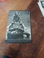 Knipsel  olifant schildpad dierenpark Wassenaar 1949, Ophalen of Verzenden, 1940 tot 1960, Knipsel(s)