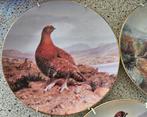 Royal Dolton plates, Antiek en Kunst, Antiek | Wandborden en Tegels, Ophalen