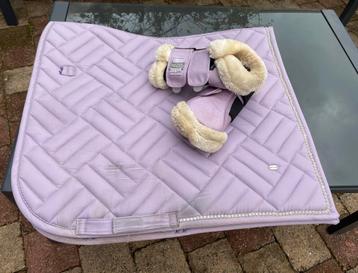 Paars dressuur set beschikbaar voor biedingen