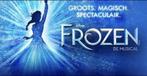 2-6 Prachtige Premium/Loge tickets Frozen Vrijdag 11 april, Tickets en Kaartjes, Theater | Musical, Drie personen of meer, April