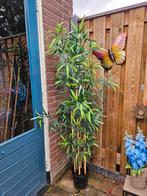 kunstplant bamboe, Tuin en Terras, Planten | Bomen, Ophalen, Bloeit niet, Halfschaduw, Overige soorten
