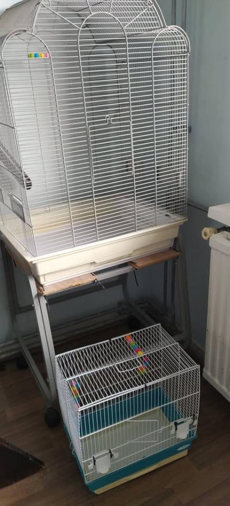 Kooien en toebehoren, Dieren en Toebehoren, Vogels | Parkieten en Papegaaien, Parkiet, Meerdere dieren