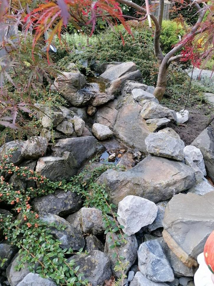 Vijverpartij, Tuin en Terras, Vijvers, Gebruikt, Ophalen of Verzenden