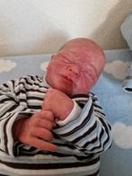 Super Schattige reborn als pas geboren kindje aangeboden, Dieren en Toebehoren, Mannelijk, Parkiet