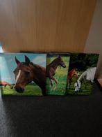 3 paarden schilderijen, Huis en Inrichting, Woonaccessoires | Schilderijen, Tekeningen en Foto's, Verzenden, Zo goed als nieuw