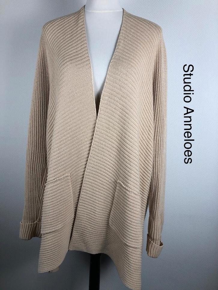 Studio Anneloes Vest  (mt: 38) 6,1/8671, Kleding | Dames, Truien en Vesten, Zo goed als nieuw, Maat 38/40 (M), Ophalen of Verzenden