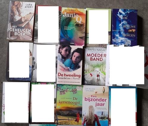 Lori Nelson Spielman : Een bijzonder jaar, Boeken, Romans, Nederland, Ophalen of Verzenden