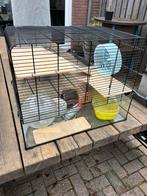 Hamsterkooi met toebehoren, Dieren en Toebehoren, Kooi, Minder dan 75 cm, Zo goed als nieuw, Ophalen