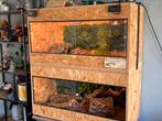 terrarium met onderkast, Dieren en Toebehoren, Slang, Met terrarium, 3 tot 6 jaar