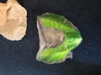 Kawasaki Z900 Green Headlight Cowling, Doe-het-zelf en Verbouw, Ophalen, Nieuw
