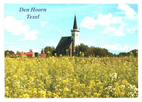 41323	Texel	Den Hoorn	Gelopen met postzegel, Verzamelen, Ansichtkaarten | Nederland, Gelopen, Waddeneilanden, Ophalen of Verzenden