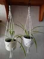Handgeknoopte plantenhangers, Ophalen of Verzenden, Overige soorten, Minder dan 100 cm