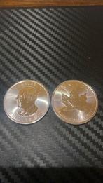 1 ounce zilver Maple Leaf 2025, Ophalen of Verzenden, Zilver