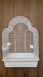 Vogel Kooi / Bird Cage, Ophalen, Zo goed als nieuw, Metaal, Vogelkooi