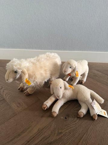 Steiff schaap lam Flocky Siglinde 3x Original beschikbaar voor biedingen