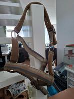 2x Shetlander halster, Ophalen of Verzenden, Gebruikt