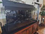 Juwel 450, Dieren en Toebehoren, Ophalen, Zo goed als nieuw, Leeg aquarium