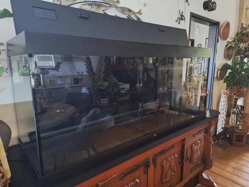 Juwel 450, Dieren en Toebehoren, Vissen | Aquaria en Toebehoren, Zo goed als nieuw, Leeg aquarium, Ophalen