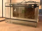 Terrarium hxbxd 40x60x30, Dieren en Toebehoren, Ophalen, Zo goed als nieuw, Terrarium of Paludarium
