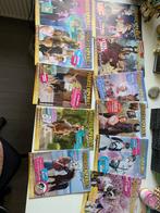 Paardenpraat tv magazines, Ophalen of Verzenden, Zo goed als nieuw, Sport en Vrije tijd