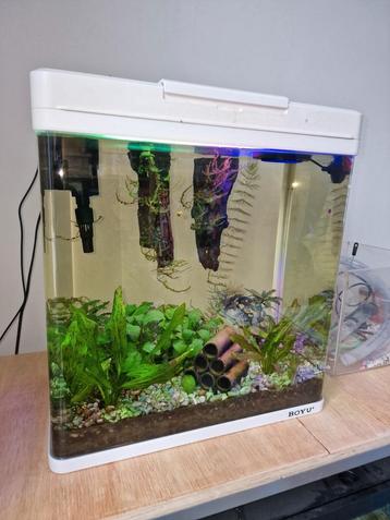 30 liter aquarium van merk Boyu
