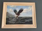 Schilderij,olieverfschilderij motief van zeearend over water, Antiek en Kunst, Ophalen of Verzenden