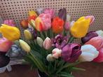 kunst tulpen 50 stuks, Ophalen of Verzenden, Nieuw