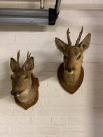 brocante allerlei, Ophalen of Verzenden