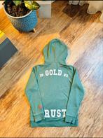 In Gold We Trust.Maat 164, Ophalen of Verzenden, Zo goed als nieuw, Jongen, Trui of Vest