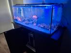 Kompleet filter zuurstofpomp verwarming, Dieren en Toebehoren, Vissen | Aquaria en Toebehoren, Ophalen of Verzenden, Zo goed als nieuw