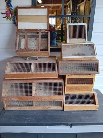 Te koop verschillende verzend kisten   beschikbaar voor biedingen