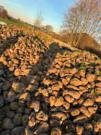 Voederbieten, Zakelijke goederen, Agrarisch | Veevoer, Ophalen of Verzenden