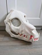 Skull Dino masker 3d geprint, Ophalen of Verzenden, Zo goed als nieuw, Overige typen