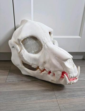 Skull Dino masker 3d geprint beschikbaar voor biedingen