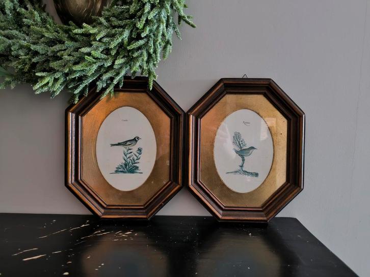 Italiaanse prenten met vogels Rufignuolo, Antiek en Kunst, Kunst | Etsen en Gravures, Ophalen of Verzenden