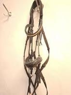 Hoofdstel en halster, Dieren en Toebehoren, Ophalen, Nieuw, Overige soorten