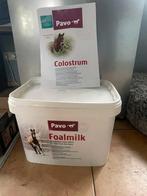 Veulen melk en biest, Dieren en Toebehoren, Ophalen of Verzenden, Overige soorten