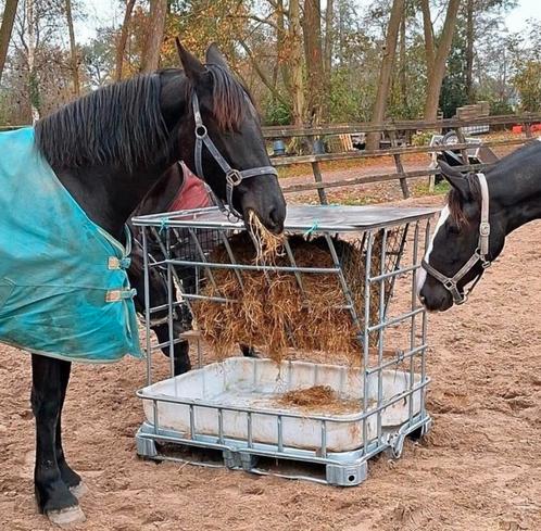 Hooiruif voor paarden of pony's, of andere dieren, Dieren en Toebehoren, Paarden en Pony's | Verzorgingsproducten, Nieuw, Ophalen