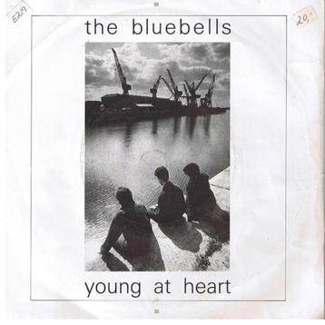 The Bluebells - Young at Heart (Single) beschikbaar voor biedingen