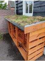 SEDUM GROEN kijk alle foto’s voor de vele mogelijkheden, Ophalen of Verzenden, Overige soorten, Volle zon