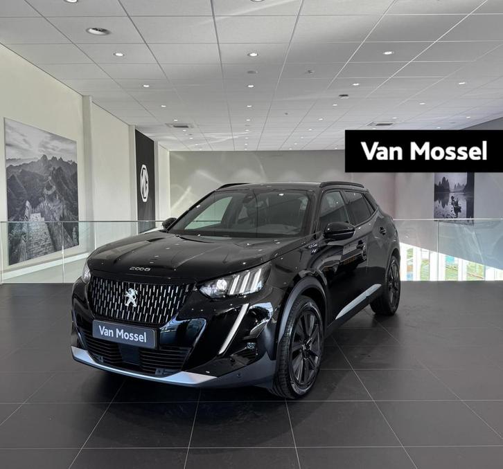Peugeot 2008 GT-Line | Licht metalen velgen | Apple en Andro, Auto's, Peugeot, Bedrijf, Te koop, ABS, Achteruitrijcamera, Airbags