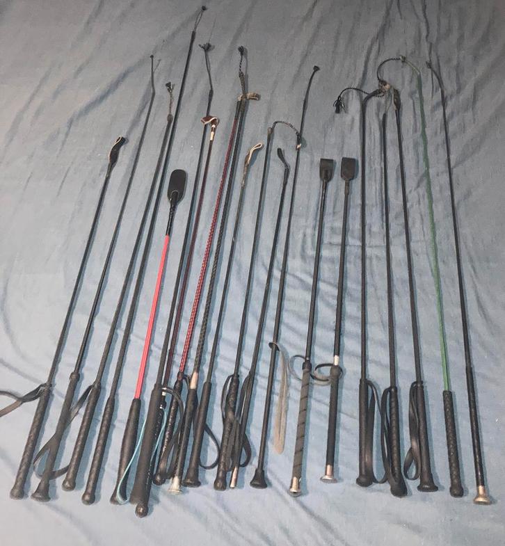 Diversen Paardrij zwepen / zweepjes gebruikte staat €10 p/st, Dieren en Toebehoren, Paardrijkleding, Gebruikt, Dames, Heren, Overige typen